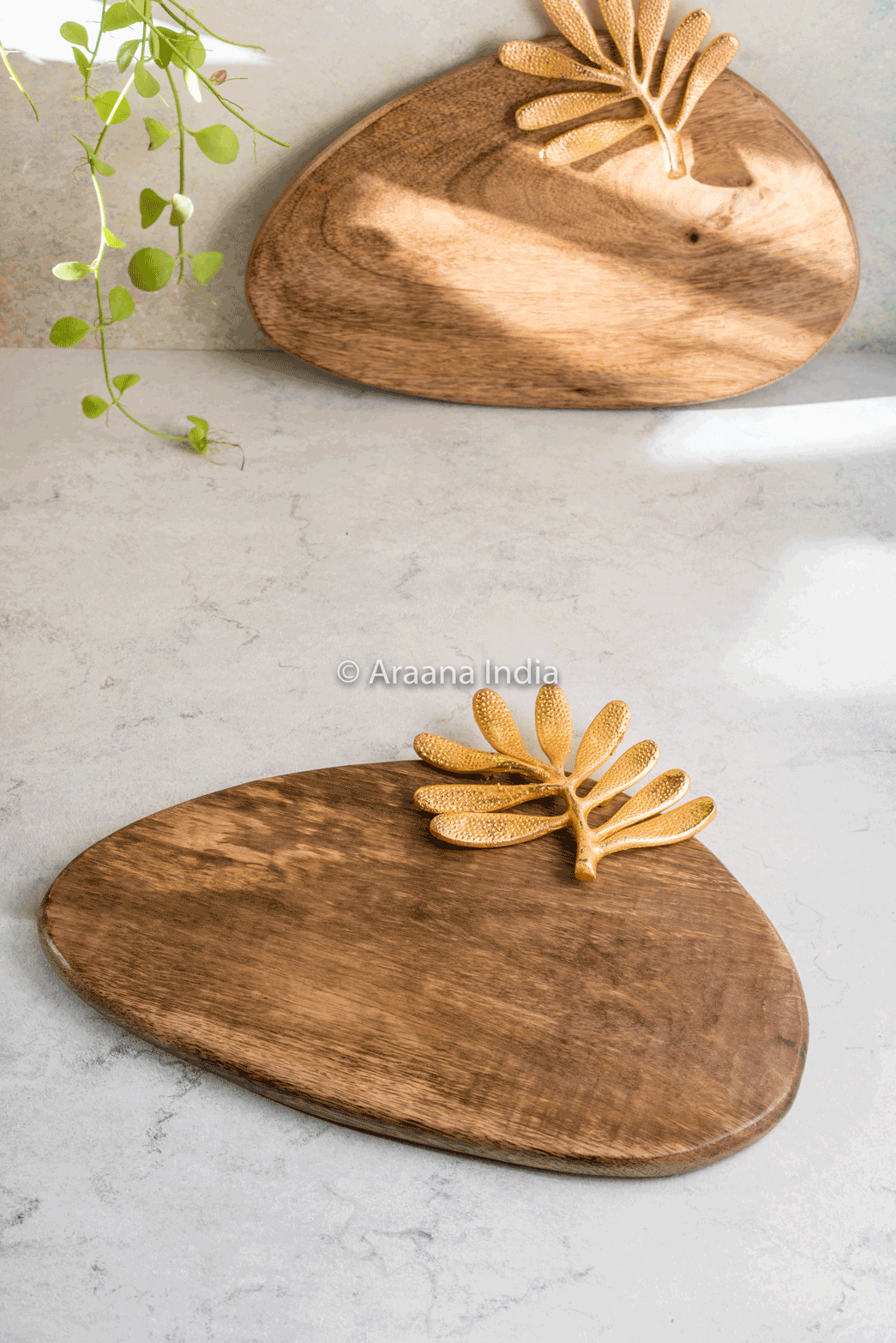 Thumbnail preview #8 for Sunheri - asymmetrical platter with gold leaf motif