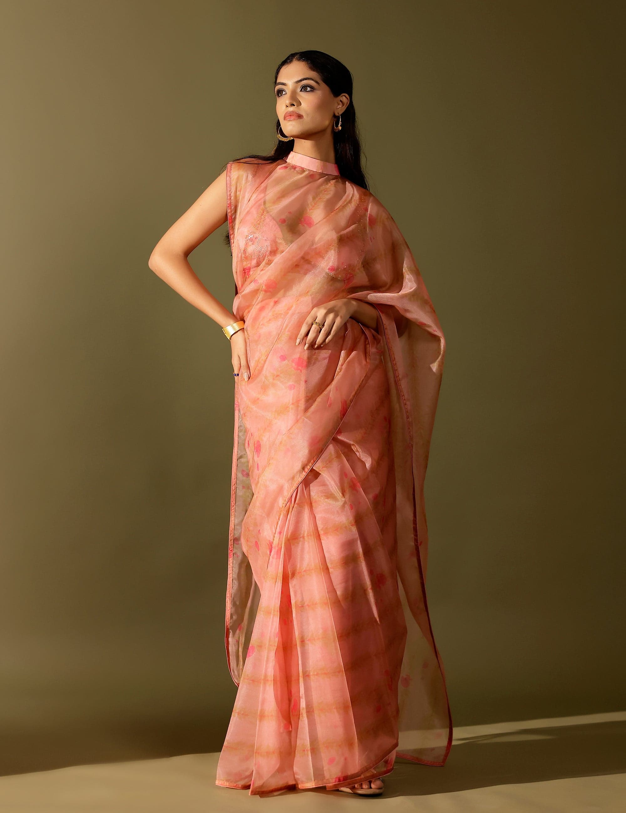 Thumbnail preview #3 for Bel organza collar saree