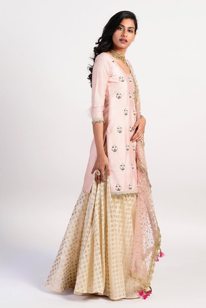 Thumbnail preview #1 for Blush Pink Kurta Set